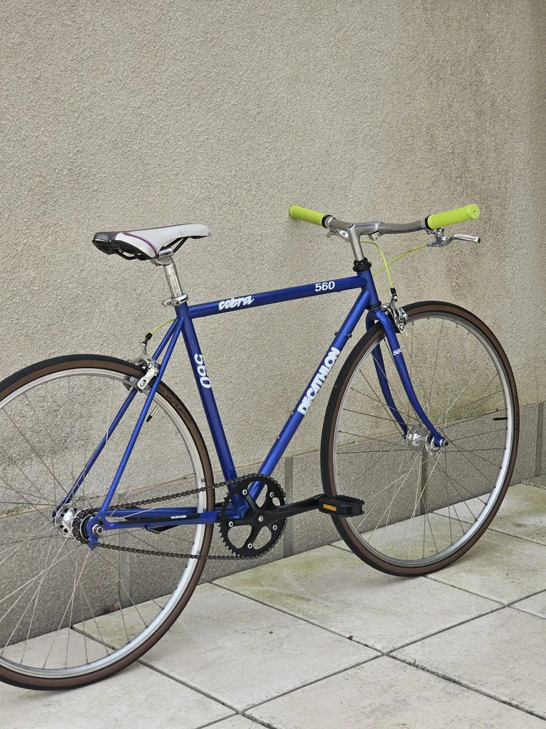 Decathlon Cobra 560 converted to singlespeed / fixie